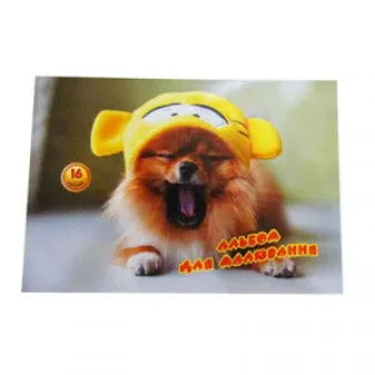 Альбом для Малювання &quot;Фолдер&quot; 16арк А4