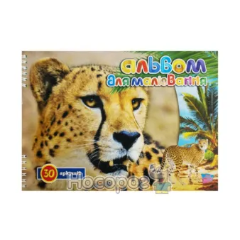 Альбом для Малювання &quot;Фолдер&quot; 30арк А4(на спіралі)